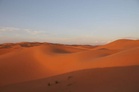 49 die of thirst after truck breaks down in Sahara in northern Niger