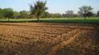 Over 2.19L panels to check fake agri products under Khet Bachao Abhiyan