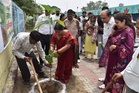 Thousands of saplings planted across Karnal on World Environment Day