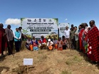 Indian HC in Nairobi to plant 500,000 saplings under 'Ek Ped Maa Ke Naam' initiative