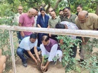 BJP launches statewide plantation drive, targets 2 lakh saplings