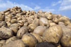 Parliamentary panel visits ICAR-CPRI Shimla, suggests potato varieties for coastal regions