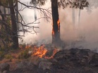 J-K: Fire breaks out in Udhampur's Dabbar area; locals advised caution amid heatwave