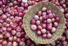 As Centre eases onion procurement norms, farmers seek Rs 3,000 per quintal support price
