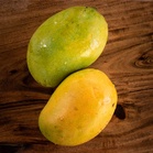 Dark spots on Bengal’s Himsagar mangoes cast shadow on export shipment
