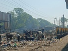 Chemicals from plastic waste contaminating water sources near Jaipur dumping yard: Study