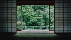 In Japan, this chef — who’s got 3 Michelin stars — forages his own ingredients in the mountains (it’s a truly extraordinary experience)