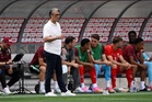 World Cup team given no-go areas around training camp due to snake infestation