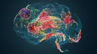Brain cells acting as ‘disappointment meter’ may help design new class of drugs, study finds
