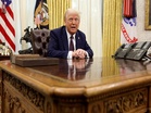 US Judge blocks Trump’s $100K H-1B visa fee plan
