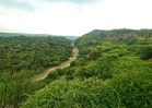 Aravallis get new lifeline as NCR Plan 2041 retains Natural Conservation Zone status