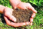 Soon, detailed analysis to help assess soil health in agricultural fields