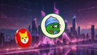 Crypto Market Comparison: Shiba Inu (SHIB) and Other Digital Assets in Long-Term Market Discussions
