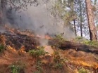 J-K: Massive forest fires break out in Rajouri amid heatwave, dry spell