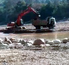 Haryana: 8 vehicles seized in illegal mining crackdown