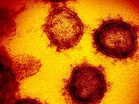 The shield before the arrow: Researchers unveil AI-driven 'Universal Vaccine' to pre-empt next pandemic