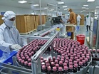 India’s CRDMO sector could gain USD 700 million annually from China+1 shift: Jefferies