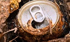 Two Hikers Found a Rusted Can in a Forest Packed With Nearly 600 Gold Coins Worth $330,000