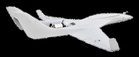 Indian Army receives 100 indigenous kamikaze drones from SMPP