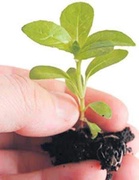 Adopt green habits to preserve nature, students told