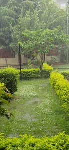 Hailstorm, snowfall disrupt life across Palampur region