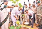 Green push or court-directed restoration: Questions over Delhi’s ‘Namo Oxygen Parks’