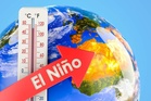 El Nino conditions currently present over equatorial Pacific Ocean: IMD