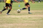 11 sports nurseries shut down across Haryana for violating norms