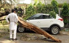 Squall wreaks havoc across three border districts, 1dead