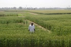 ‘Farmer ID’ mandatory for govt scheme benefits: DC