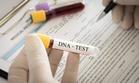 Gurugram couple move court after DNA test shows IVF twins have no genetic link to them