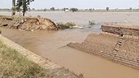 Canal breaches : Faridkot’s flooded fields expose deeper flaws