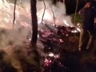 J-K: Massive fire breaks out in Katehda forest area of Rajouri district