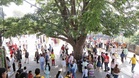 Yellow warning for heavy rainfall in Himachal’s seven districts today
