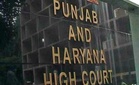 Accused need not give answers investigators want: Punjab and Haryana High Court