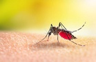 Insecticide resistance could undermine effectiveness of mosquito nets in malaria control: Analysis
