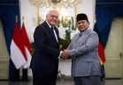 Indonesian leader breaks into song as he hosts German president