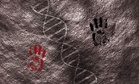 Scientists Found Ancient DNA Shared With Neanderthals That Could Explain Why Humans Can Talk