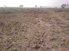 Ambala commissioner remands Chowki Shamlat land case to Panchkula district collector