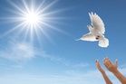 There’s more to peace than absence of war