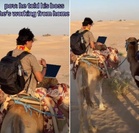 Man ’Works From Home’ on camel in Sahara Desert, Internet can’t stop laughing