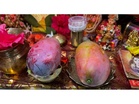 World's costliest 'Miyazaki' mango offered to Lord Ram at Ayodhya's Ram Mandir