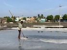 Tamil Nadu: Salt pan workers in Thoothukudi seek hike in monsoon relief from Rs 5,000 to Rs 10,000