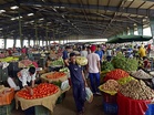 Global commodity prices likely to remain elevated amid easing West Asia tensions; India’s WPI seen at 7-8 pc in FY27: BoB