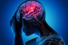 Reinforcing body clock rhythms may help brain recover from stroke: Study