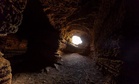 Scientists Uncover 16 Fossil Species Preserved in an Isolated Cave Hidden in New Zealand’s Forest
