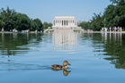 Pond made blue after Trump's $14.2m effort is green again due to algae