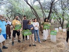Urban growth costs Gurugram 15 hectares of natural forest