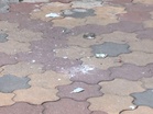 Jharkhand: CCTV footage yields clues in Ranchi RSS office petrol bomb attack
