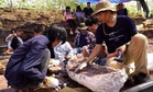 Scientists Uncover Fossils Near a Public Pond Revealing a 30-Ton Giant Dinosaur That Once Dominated Ancient Thailand